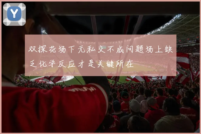 双探花场下无私交不成问题场上缺乏化学反应才是关键所在
